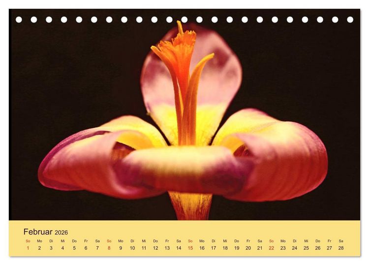 Produktbild: Fantastische Reise in die Welt der Blumen (Tischkalender 2026 DIN A5 quer), CALVENDO Monatskalender