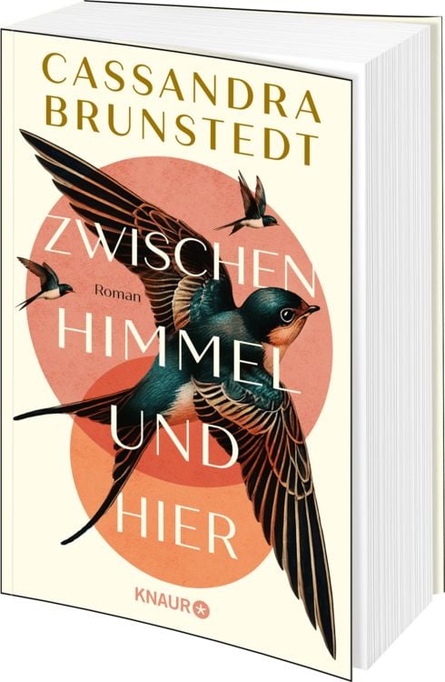 Produktbild: Zwischen Himmel und hier
