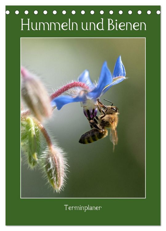 Produktbild: Hummeln und Bienen Terminplaner (Tischkalender 2026 DIN A5 hoch), CALVENDO Monatskalender