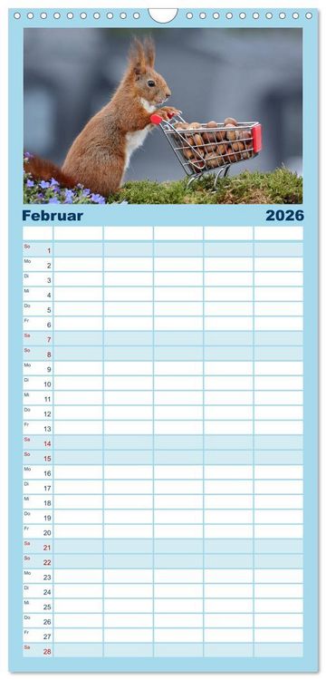 Produktbild: Familienplaner 2026 - Eichh&ouml;rnchen Luna und ihre Kinder mit 5 Spalten (Wandkalender, 21 x 45 cm) CALVENDO