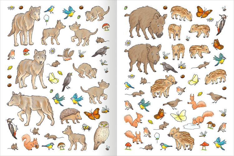 Produktbild: Erstes Stickern &ndash; Im Wald