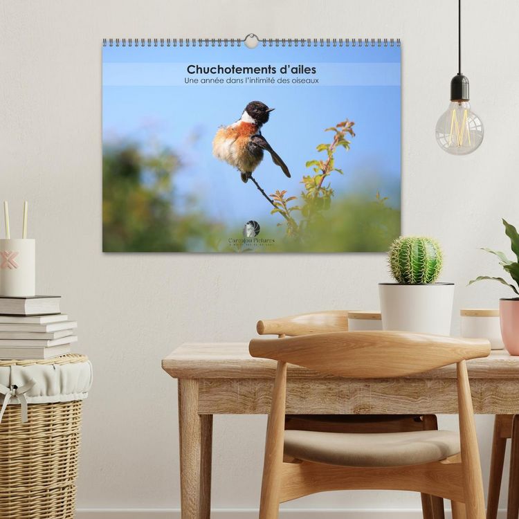 Produktbild: Chuchotements d'ailes - Une ann&eacute;e dans l'intimit&eacute; des oiseaux (Calendrier mural 2026 DIN A3 vertical), CALVENDO calendrier mensuel