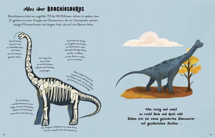 Produktbild: Kleine und gro&szlig;e Wunder der Dinosaurier