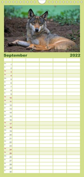 Produktbild: Familienplaner Tiere des Waldes (Wandkalender 2022 , 21 cm x 45 cm, hoch)