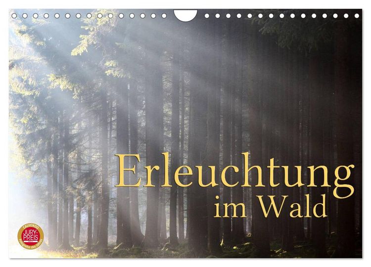 Produktbild: Erleuchtung im Wald (Wandkalender 2026 DIN A4 quer), CALVENDO Monatskalender