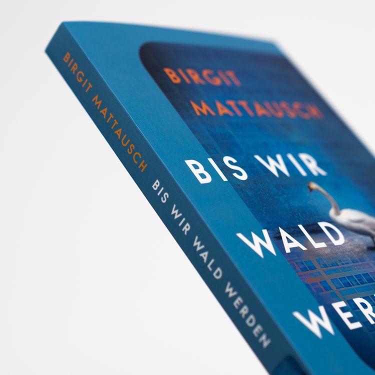 Produktbild: Bis wir Wald werden