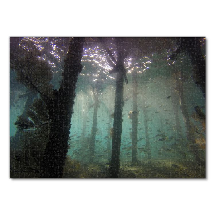 Produktbild: Lais Puzzle Unterwasser Anlegestelle 1000 Teile