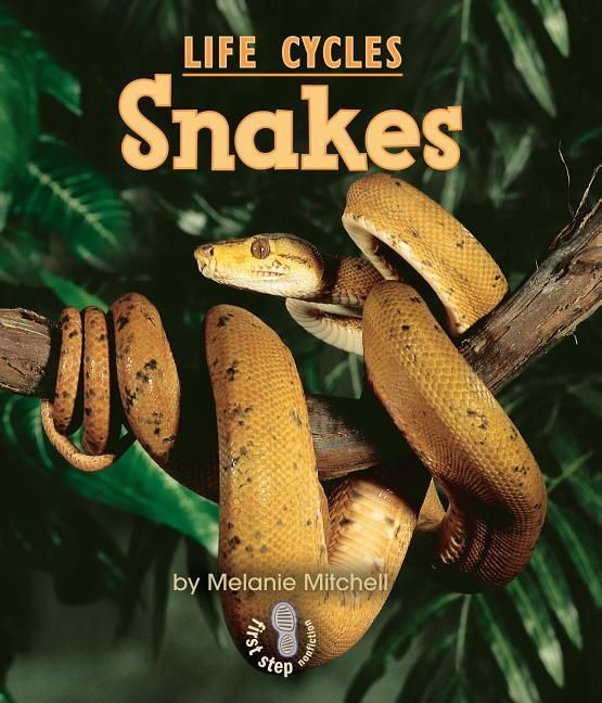 Produktbild: Snakes