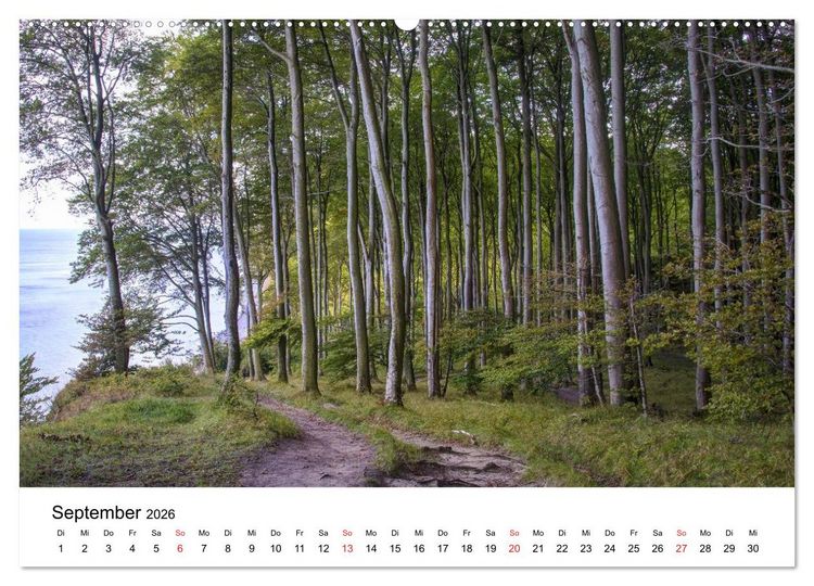 Produktbild: Der Hochuferweg im Jasmund Nationalpark (Wandkalender 2026 DIN A2 quer), CALVENDO Monatskalender