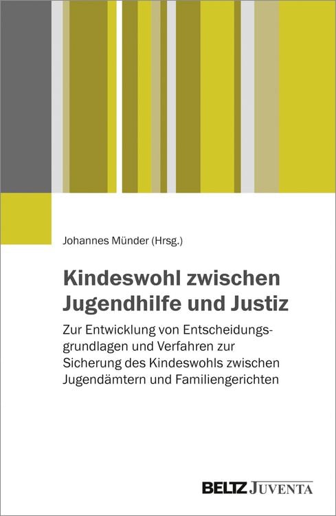 Produktbild: Kindeswohl zwischen Jugendhilfe und Justiz