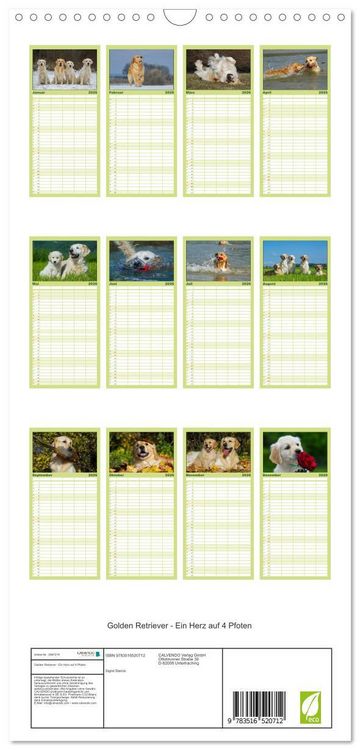 Produktbild: Familienplaner 2026 - Golden Retriever - Ein Herz auf 4 Pfoten mit 5 Spalten (Wandkalender, 21 x 45 cm) CALVENDO