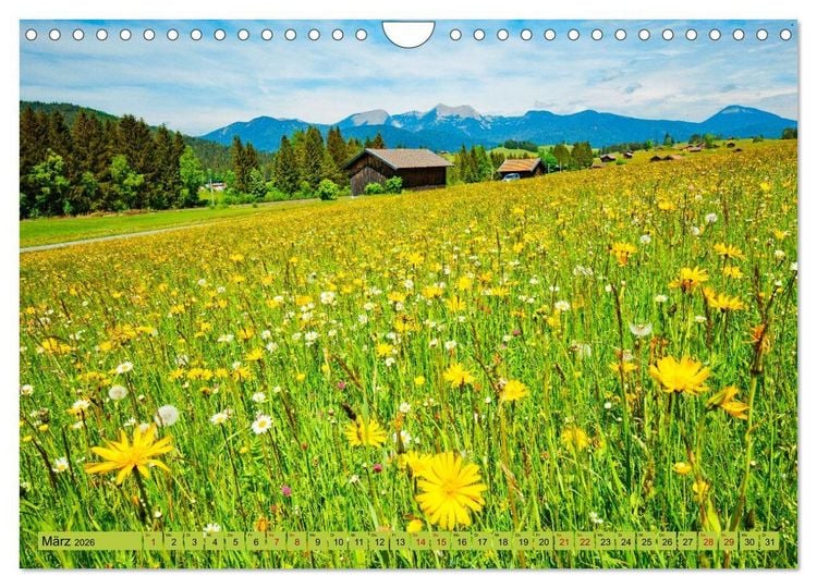 Produktbild: Die Buckelwiesen im Oberen Isartal (Wandkalender 2026 DIN A4 quer), CALVENDO Monatskalender
