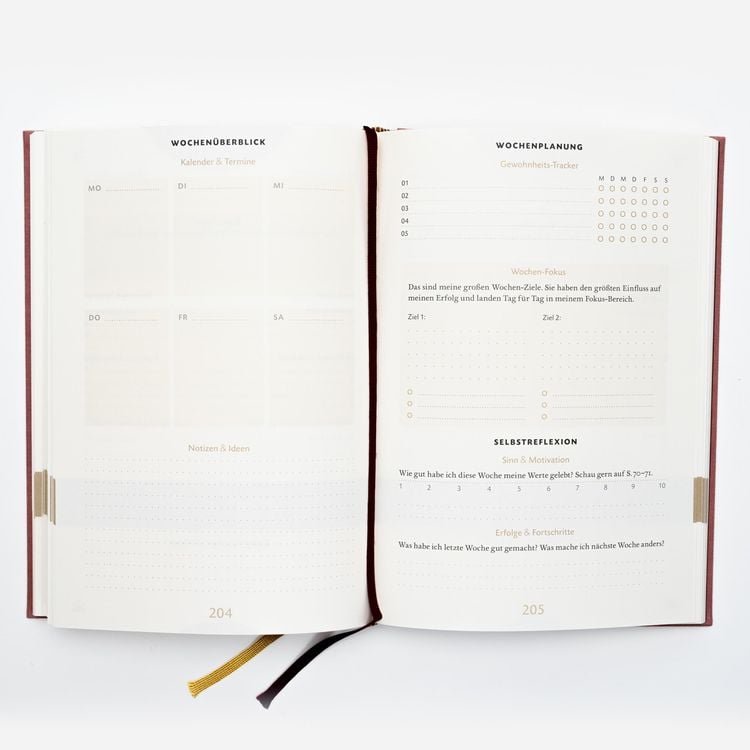 Das 6-Minuten-Erfolgsjournal (mittelblau)