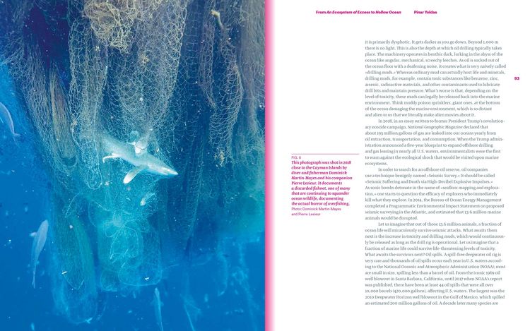 Produktbild: Plastic Ocean: Art and Science Responses to Marine Pollution