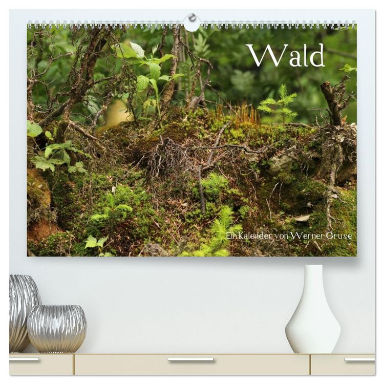 Produktbild: Wald (hochwertiger Premium Wandkalender 2026 DIN A2 quer), Kunstdruck in Hochglanz