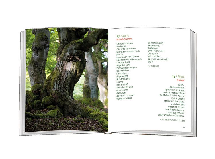 Produktbild: Mein Freund, der Baum