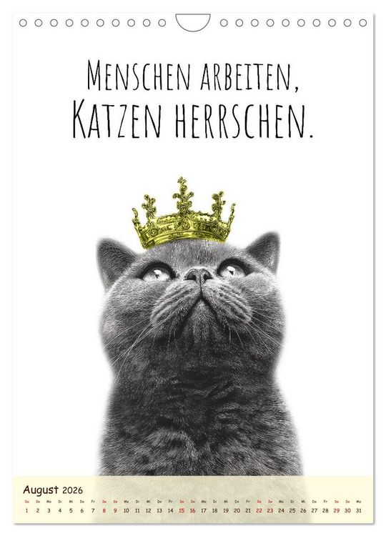 Produktbild: Katzenkult - Coolness auf vier Pfoten (Wandkalender 2026 DIN A4 hoch), CALVENDO Monatskalender