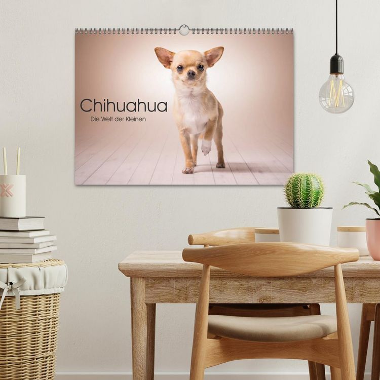 Produktbild: Chihuahua - Die Welt der Kleinen (Wandkalender 2026 DIN A3 quer), CALVENDO Monatskalender