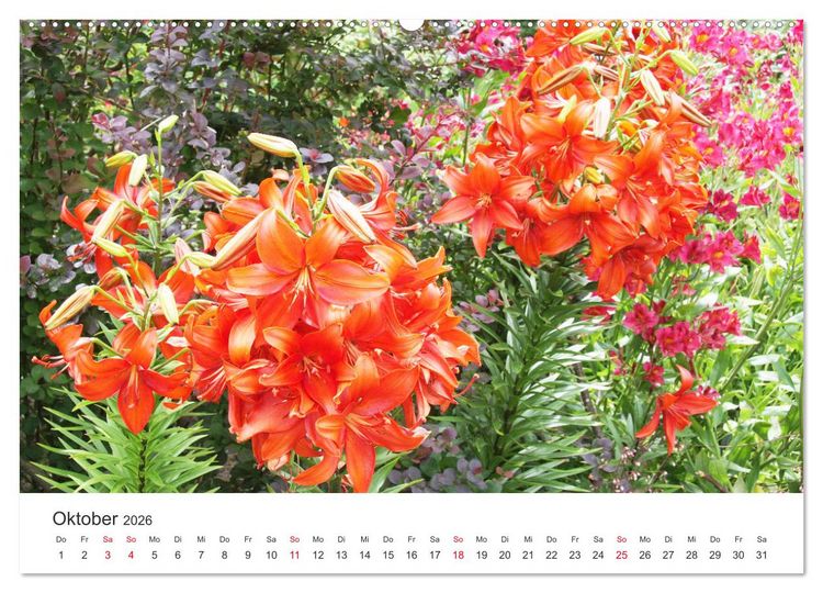 Produktbild: Feurige Lilien (Wandkalender 2026 DIN A2 quer), CALVENDO Monatskalender