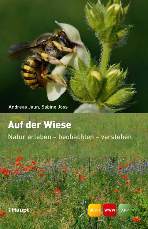 Produktbild: Auf der Wiese