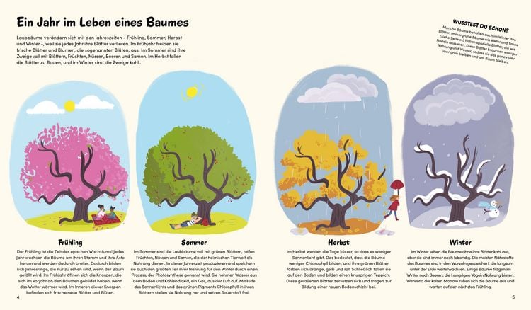 Produktbild: Das kleine Buch der B&auml;ume