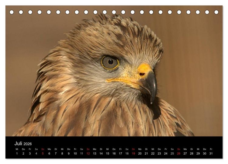 Produktbild: Greifv&ouml;gel (Tischkalender 2026 DIN A5 quer), CALVENDO Monatskalender