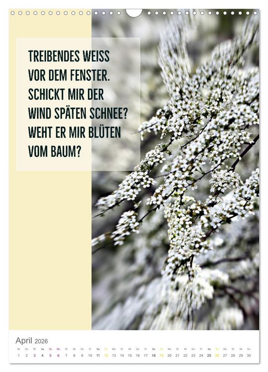 Produktbild: Tagesfarben - Poesie in Wort und Bild (Wandkalender 2026 DIN A3 hoch), CALVENDO Monatskalender