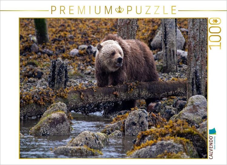 Produktbild: CALVENDO Puzzle Erste Nahrungssuche | 1000 Teile Lege-Gr&ouml;&szlig;e 64x48cm Foto-Puzzle f&uuml;r gl&uuml;ckliche Stunden