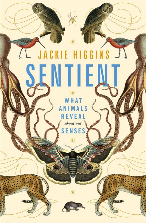 Produktbild: Sentient