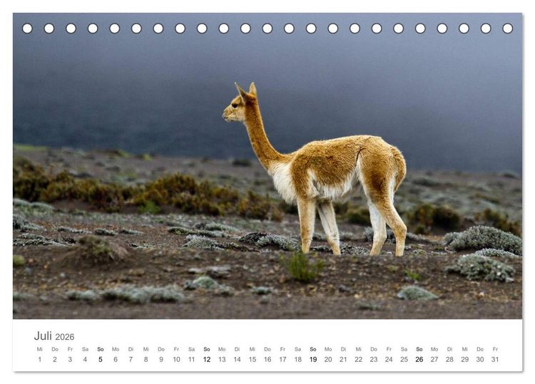 Produktbild: Ecuador - Regenwald und Vulkane (Tischkalender 2026 DIN A5 quer), CALVENDO Monatskalender