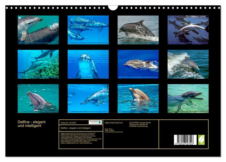 Produktbild: Delfine - elegant und intelligent (Wandkalender 2026 DIN A3 quer), CALVENDO Monatskalender