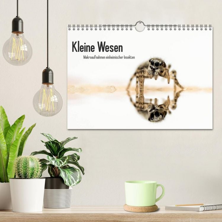Produktbild: Kleine Wesen &ndash; Makroaufnahmen von einheimischen Insekten (Wandkalender 2026 DIN A4 quer), CALVENDO Monatskalender