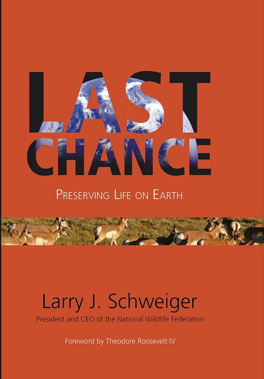 Produktbild: Last Chance