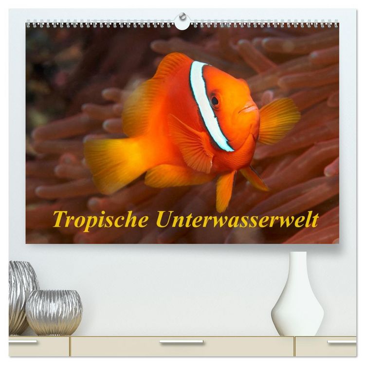 Produktbild: Tropische Unterwasserwelt (hochwertiger Premium Wandkalender 2026 DIN A2 quer), Kunstdruck in Hochglanz