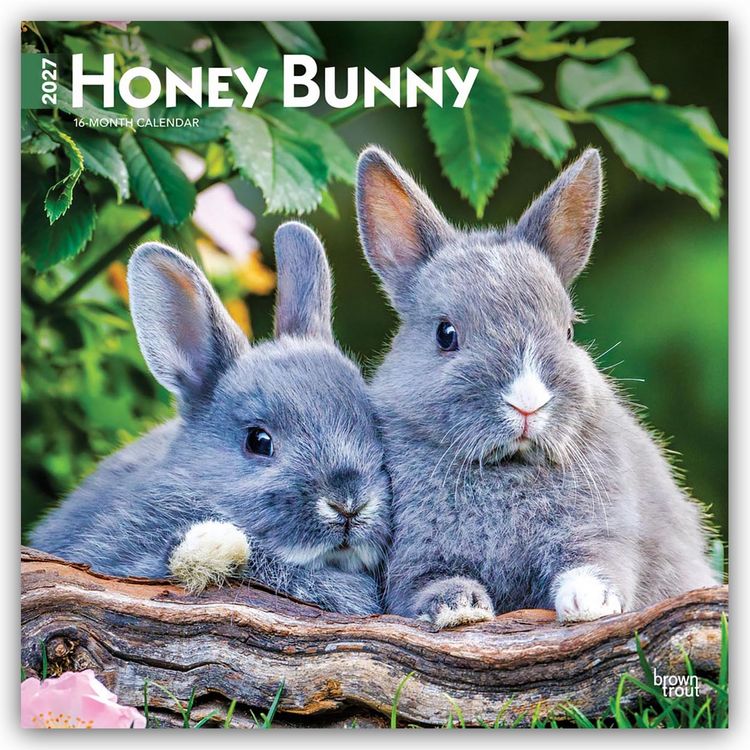 Produktbild: Honey Bunny &ndash; S&uuml;&szlig;e H&auml;schen 2027 &ndash; 16-Monatskalender