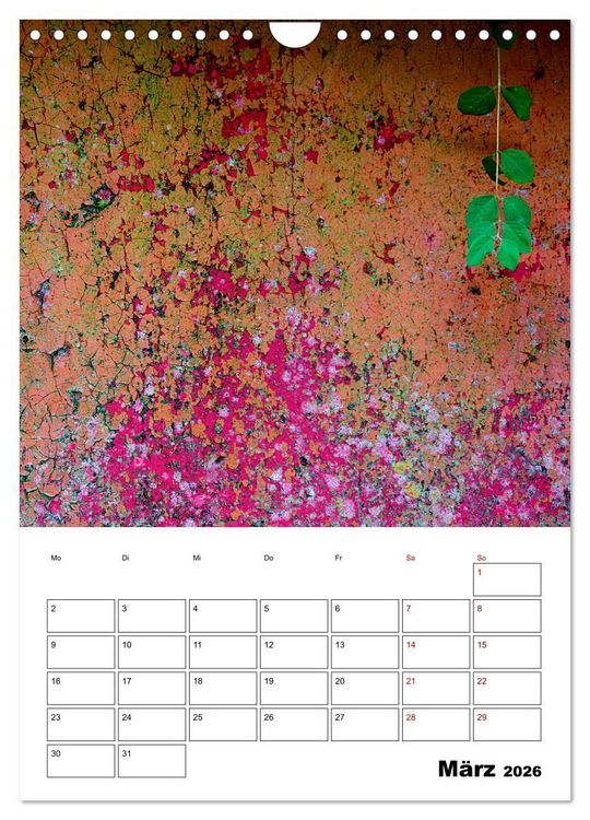 Produktbild: Mauerbl&uuml;mchen - Poesie im Allt&auml;glichen als Monatsplaner (Wandkalender 2026 DIN A4 hoch), CALVENDO Monatskalender