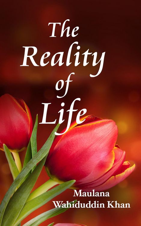 Produktbild: The Reality of Life