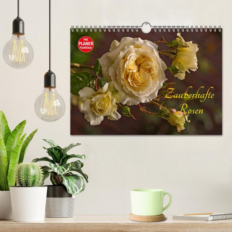 Produktbild: Zauberhafte Rosen (Wandkalender 2026 DIN A4 quer), CALVENDO Monatskalender