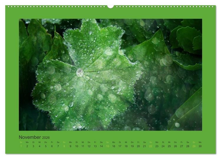 Produktbild: 12 Farben (Wandkalender 2026 DIN A2 quer), CALVENDO Monatskalender