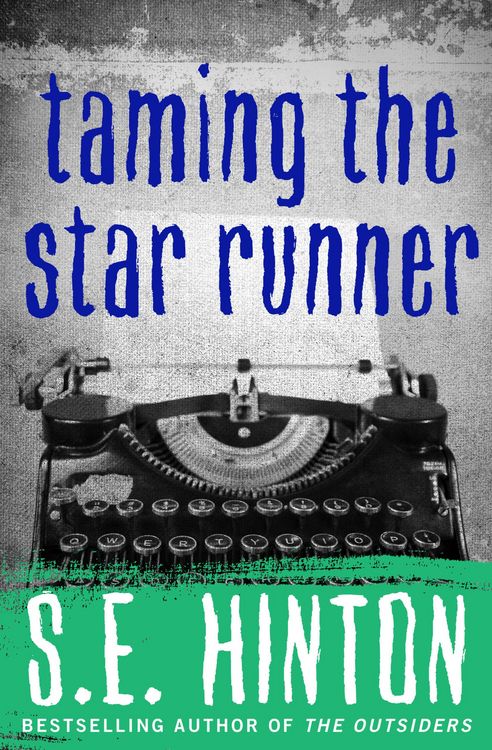 Produktbild: Taming the Star Runner