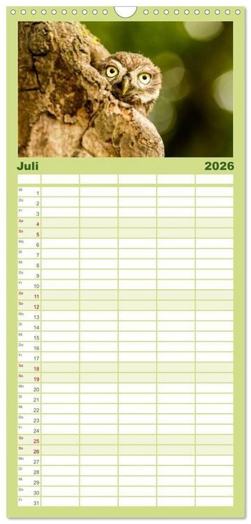 Produktbild: Familienplaner 2026 - Steink&auml;uze (Athene noctua) mit 5 Spalten (Wandkalender, 21 x 45 cm) CALVENDO