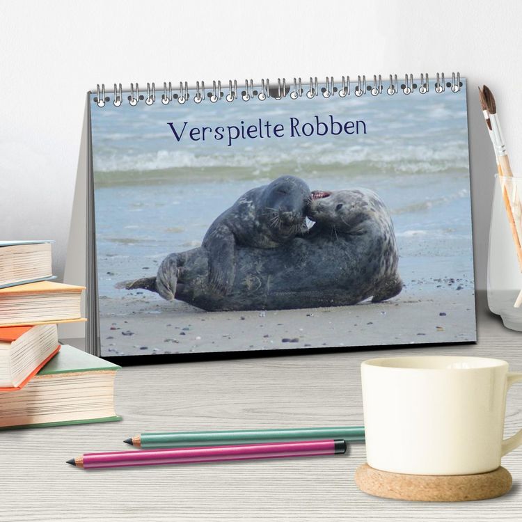 Produktbild: Verspielte Robben (Tischkalender 2026 DIN A5 quer), CALVENDO Monatskalender