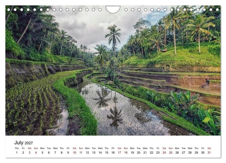 Produktbild: Tropical Vibes (Wall Calendar 2027 DIN A4 landscape), CALVENDO 12 Month Wall Calendar