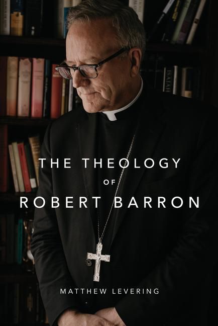 Produktbild: The Theology of Robert Barron
