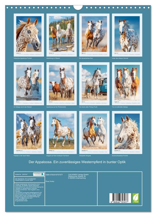 Produktbild: Der Appaloosa. Ein zuverl&auml;ssiges Westernpferd in bunter Optik (Wandkalender 2027 DIN A3 hoch), CALVENDO Monatskalender