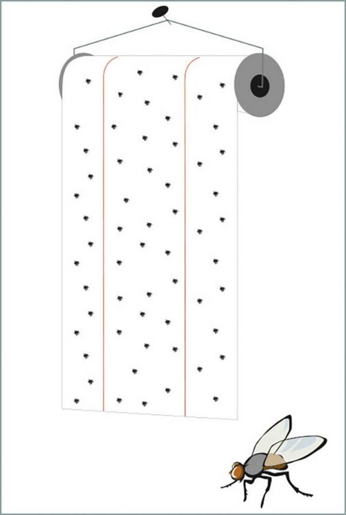 Produktbild: Redtop Fliegenrolle 31006 Fliegenfalle Klebefolie, Lockstoff (L x B) 9 m x 0.3 m Gelb 1 St.