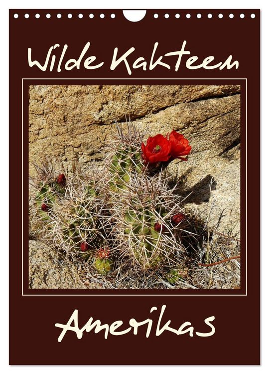 Produktbild: Wilde Kakteen Amerikas (Wandkalender 2026 DIN A4 hoch), CALVENDO Monatskalender