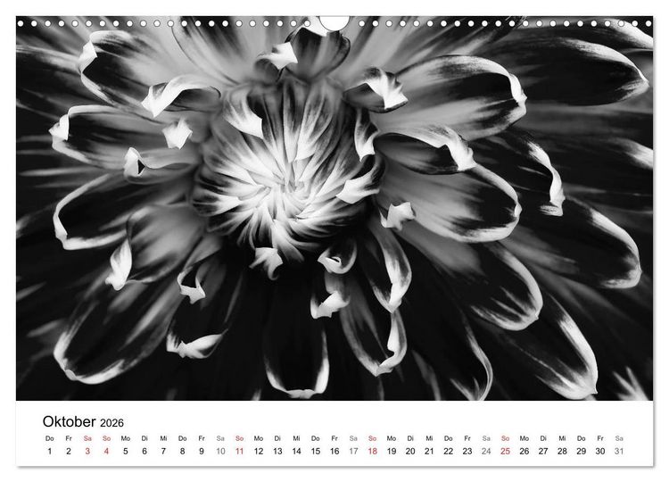 Produktbild: Blumen 2026, Schwarz-Wei&szlig; (Wandkalender 2026 DIN A3 quer), CALVENDO Monatskalender