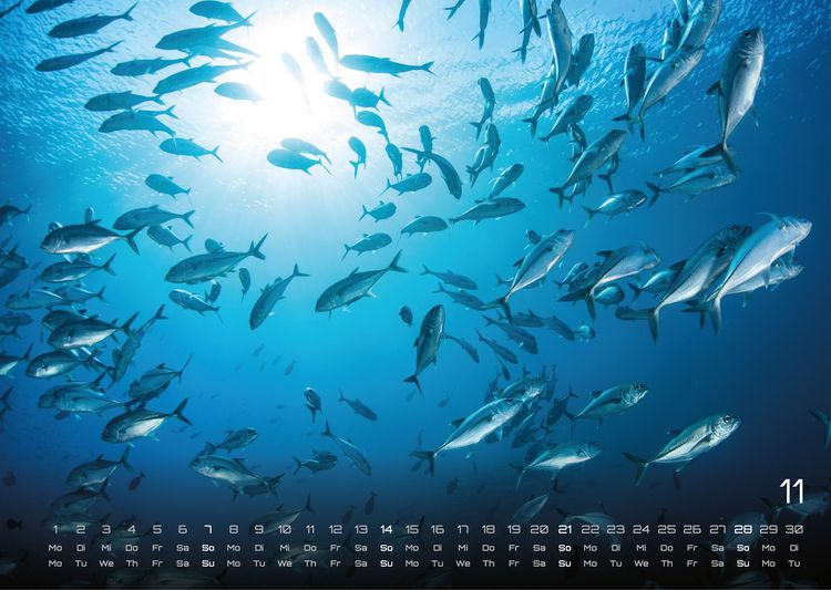 Produktbild: Meer &ndash; Im Rhythmus der Gezeiten! - 2027 - Kalender DIN A3