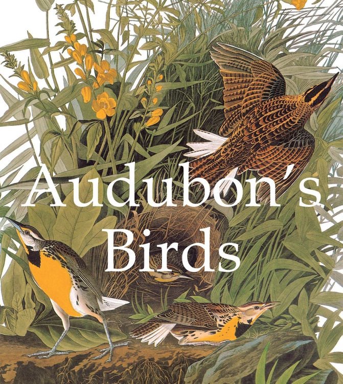 Produktbild: Audubon's Birds